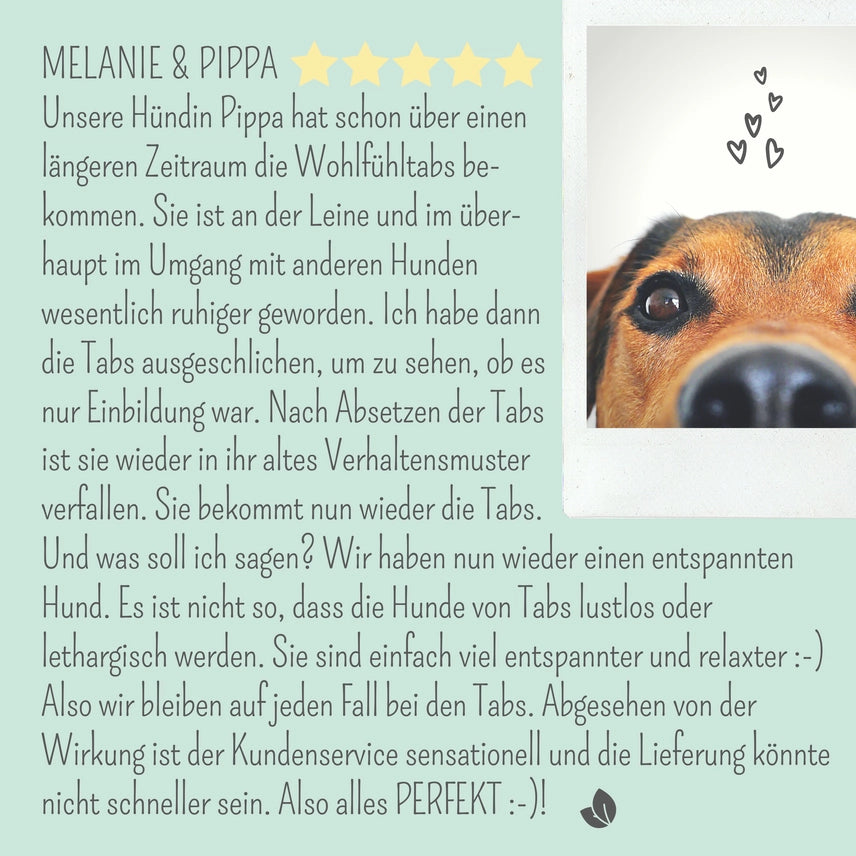 Wohlfühltabs für Hunde & Katzen bei Stress, Angst & Unruhe