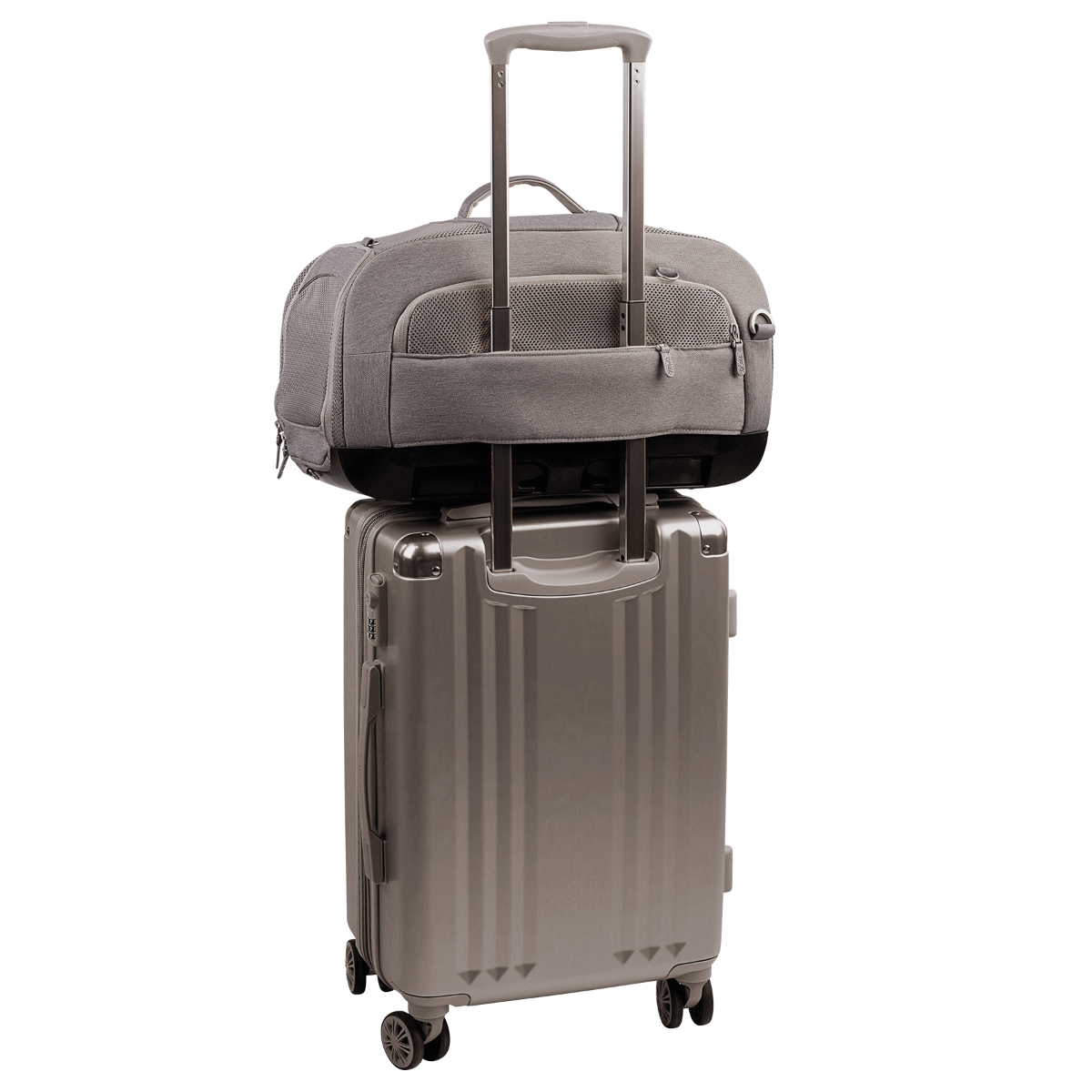 Tavo Pets Dupree – Flug- & Transporttasche für Haustiere