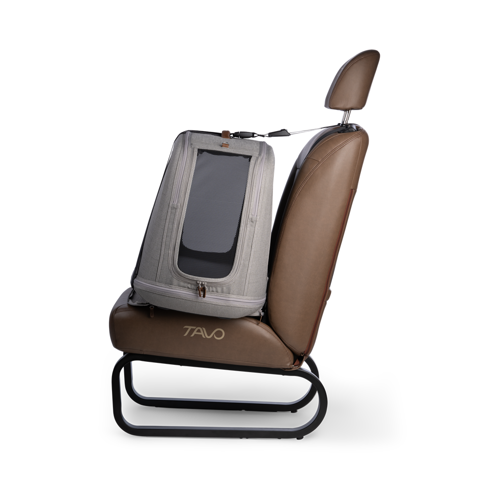 Tavo Pets Crispin – Crashgetestete Transportbox für Haustiere