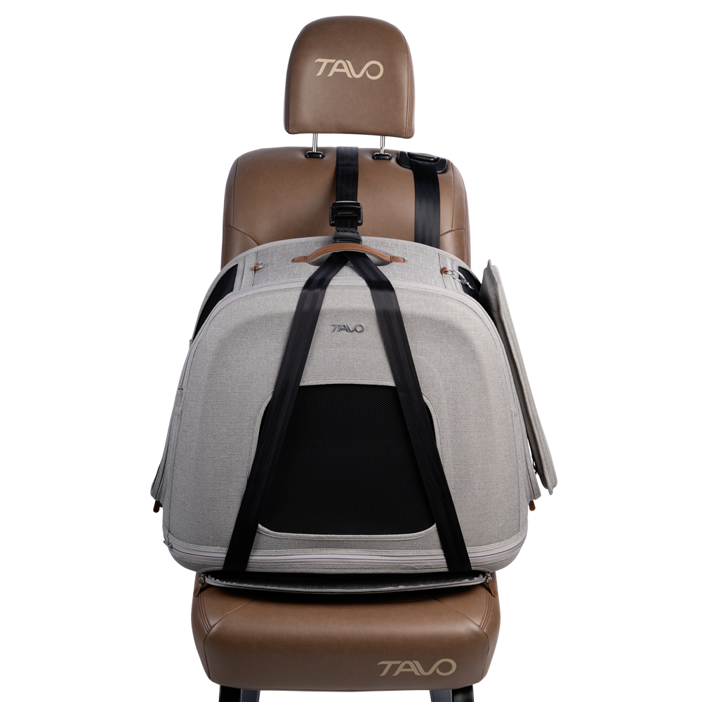 Tavo Pets Crispin – Crashgetestete Transportbox für Haustiere