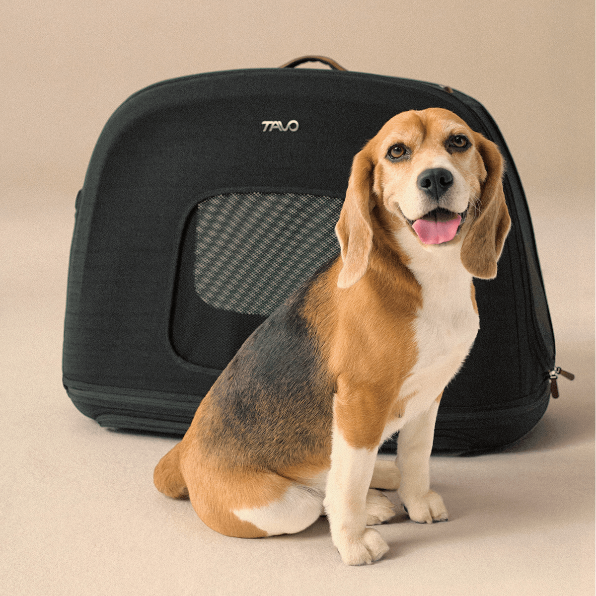 Tavo Pets Crispin – Crashgetestete Transportbox für Haustiere