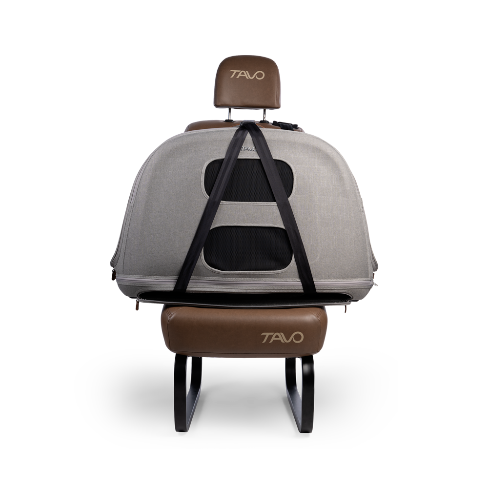 Tavo Pets Crispin – Crashgetestete Transportbox für Haustiere