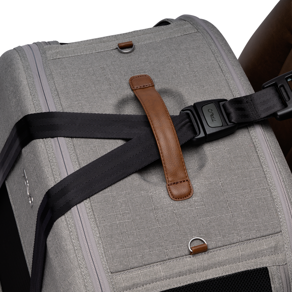 Tavo Pets Crispin – Crashgetestete Transportbox für Haustiere
