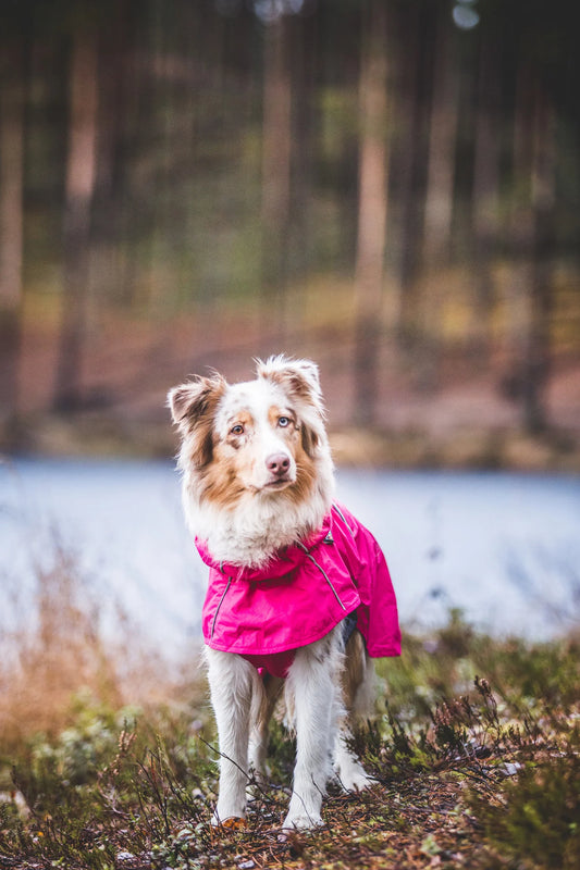 Rukka - Hase Raincoat - Regenmantel