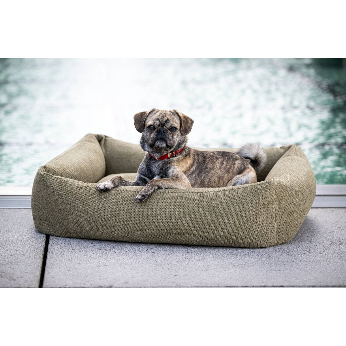 Laboni CLASSIC Hundebett - TUDOR OLIVE