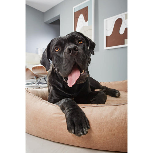 Laboni ORTHO Hundebett - GLAM SAND