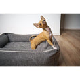 Bild in Galerie-Betrachter laden, Laboni CLASSIC Hundebett - ECO Graphit
