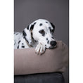 Bild in Galerie-Betrachter laden, LABONI CLASSIC Hundebett - BUFFALO CREME
