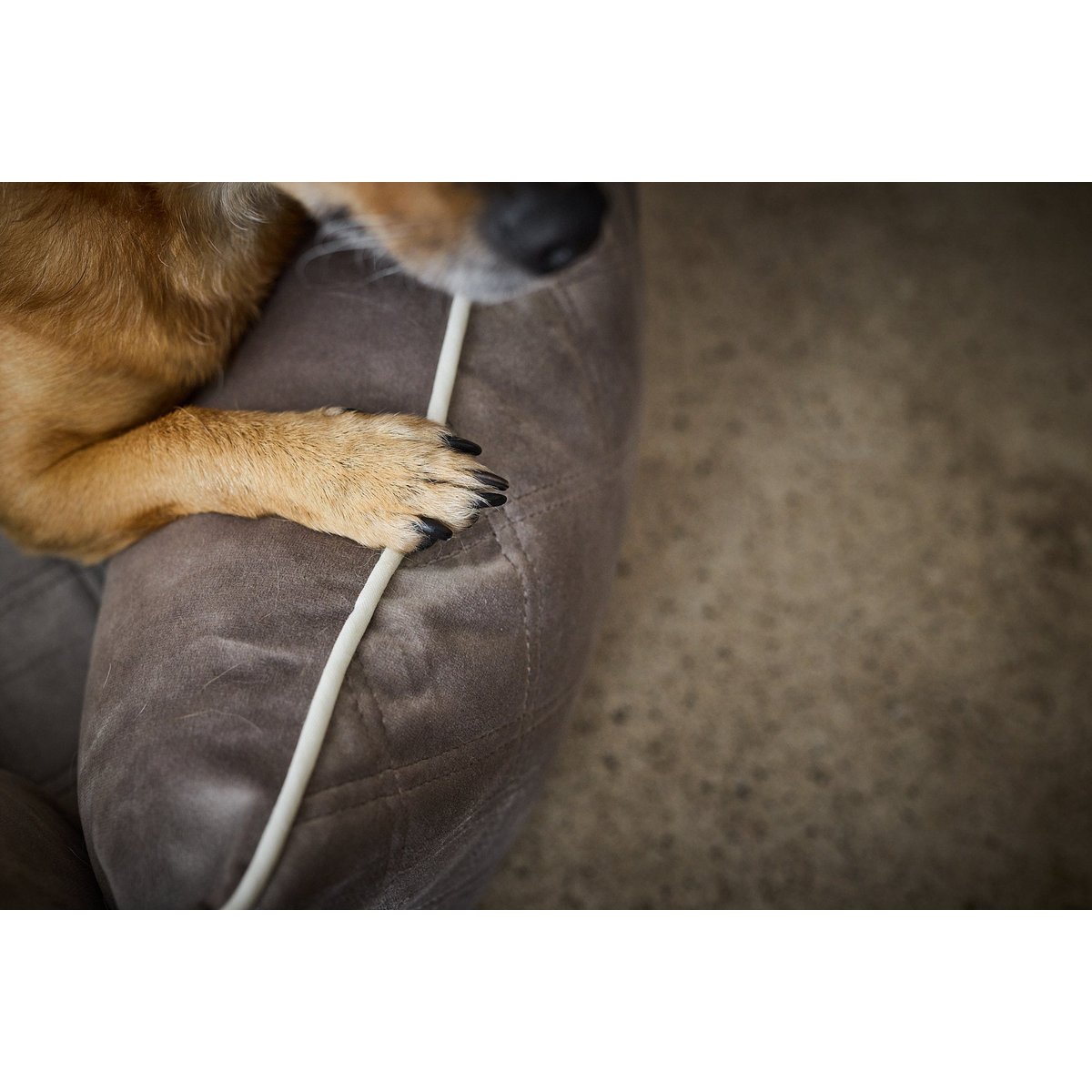 Laboni CLASSIC Hundebett - OXFORD TAUPE