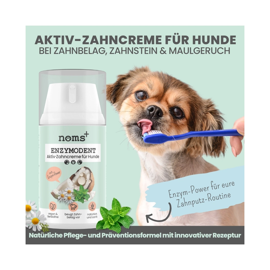 Enzymodent: Enzymatische Zahnpasta für Hunde mit natürlicher Pflege- und Präventionsformel