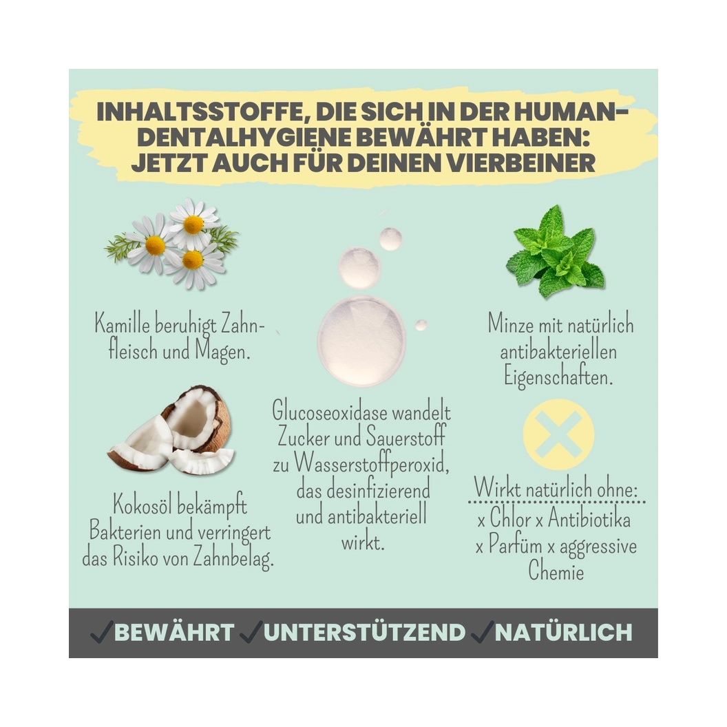 Enzymodent: Enzymatische Zahnpasta für Hunde mit natürlicher Pflege- und Präventionsformel