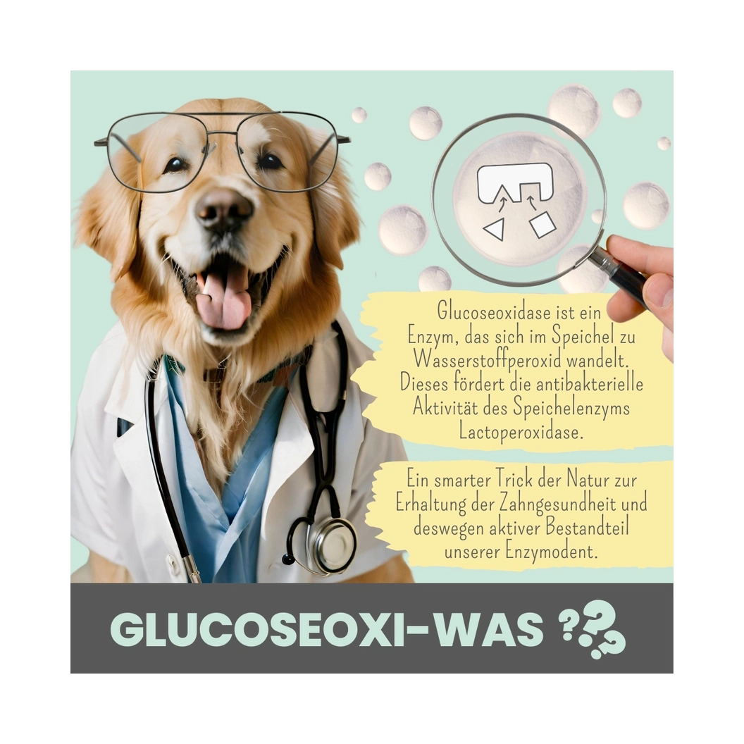 Enzymodent: Enzymatische Zahnpasta für Hunde mit natürlicher Pflege- und Präventionsformel