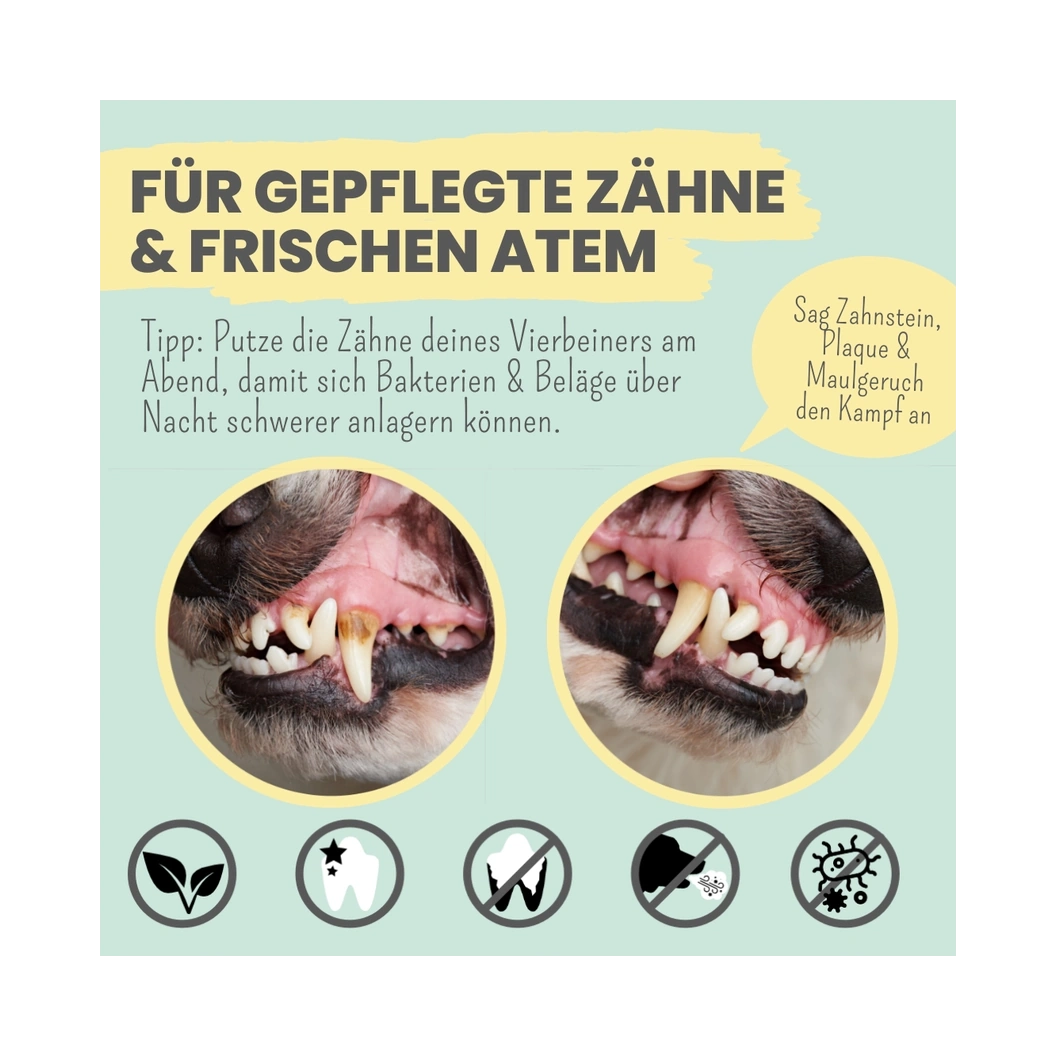 Enzymodent: Enzymatische Zahnpasta für Hunde mit natürlicher Pflege- und Präventionsformel