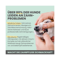 Bild in Galerie-Betrachter laden, Enzymodent: Enzymatische Zahnpasta für Hunde mit natürlicher Pflege- und Präventionsformel
