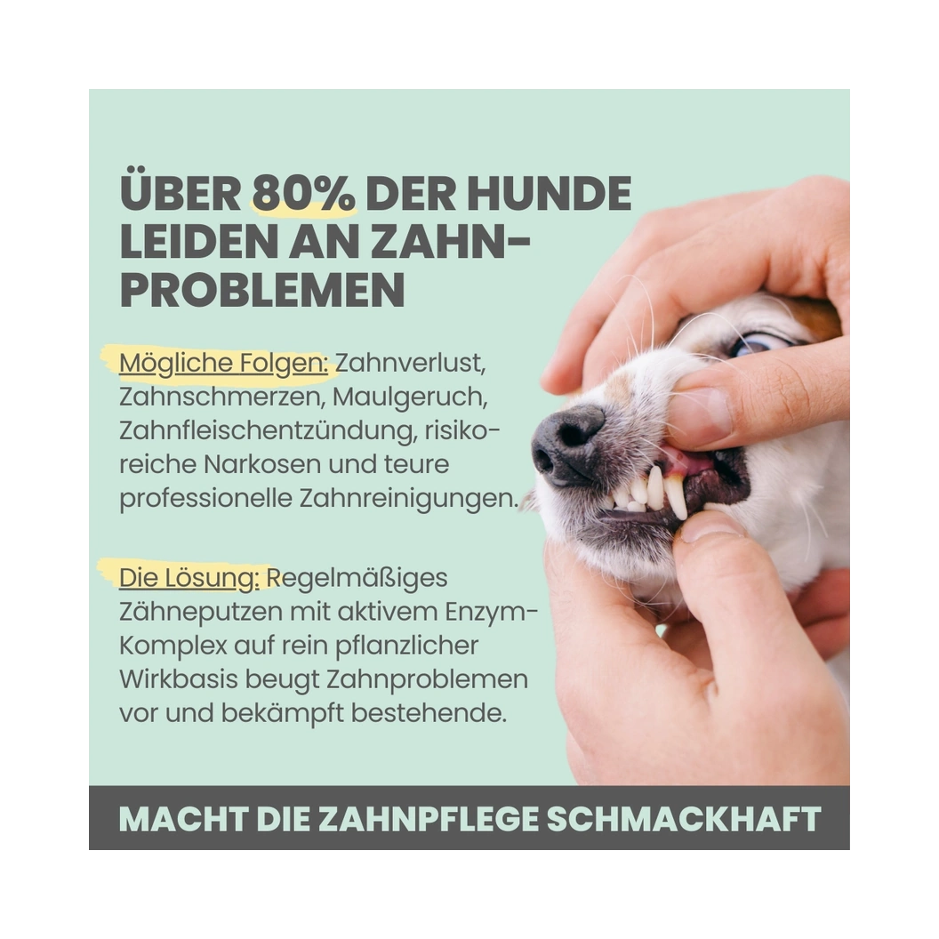 Enzymodent: Enzymatische Zahnpasta für Hunde mit natürlicher Pflege- und Präventionsformel