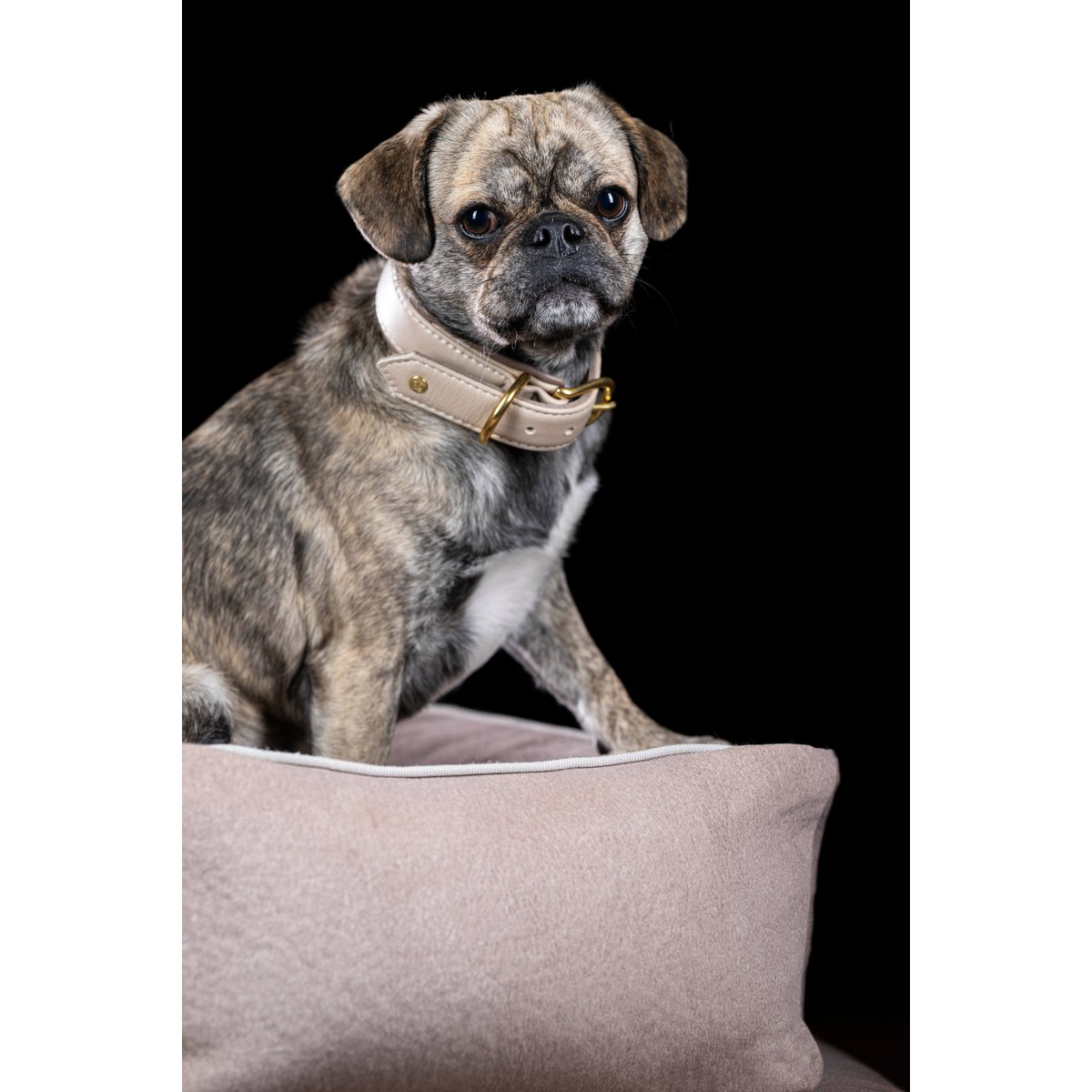 LABONI CLASSIC Hundebett - BUFFALO CREME