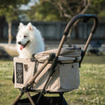 Bild in Galerie-Betrachter laden, Free to Go 2.5 – Haustier Buggy (bis 20 kg)

