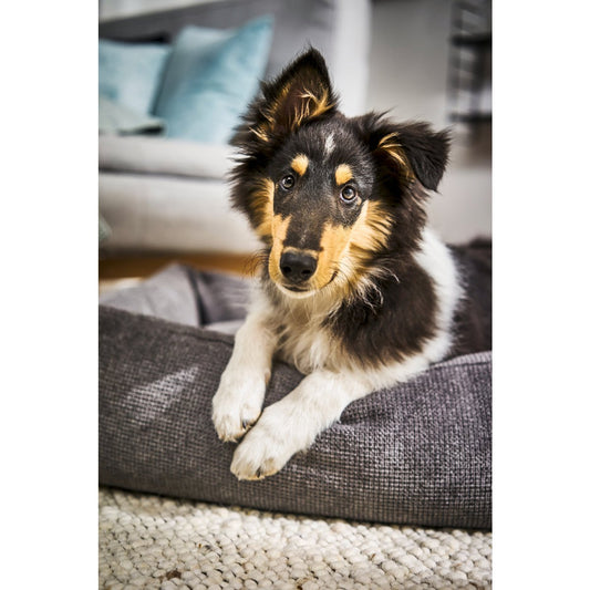 Laboni CLASSIC Hundebett - TUDOR ANTHRAZIT