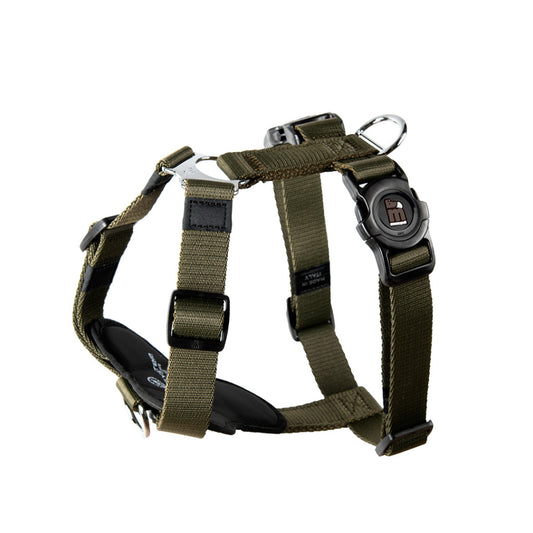 Memopet® H Geschirr Riemen