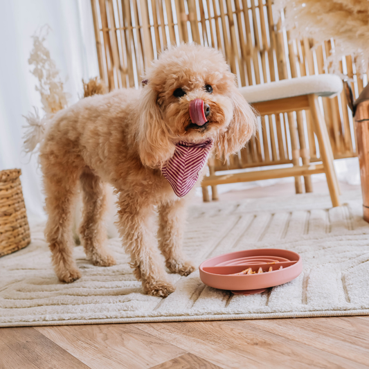 Antischling Napf von babelle for dogs in rose