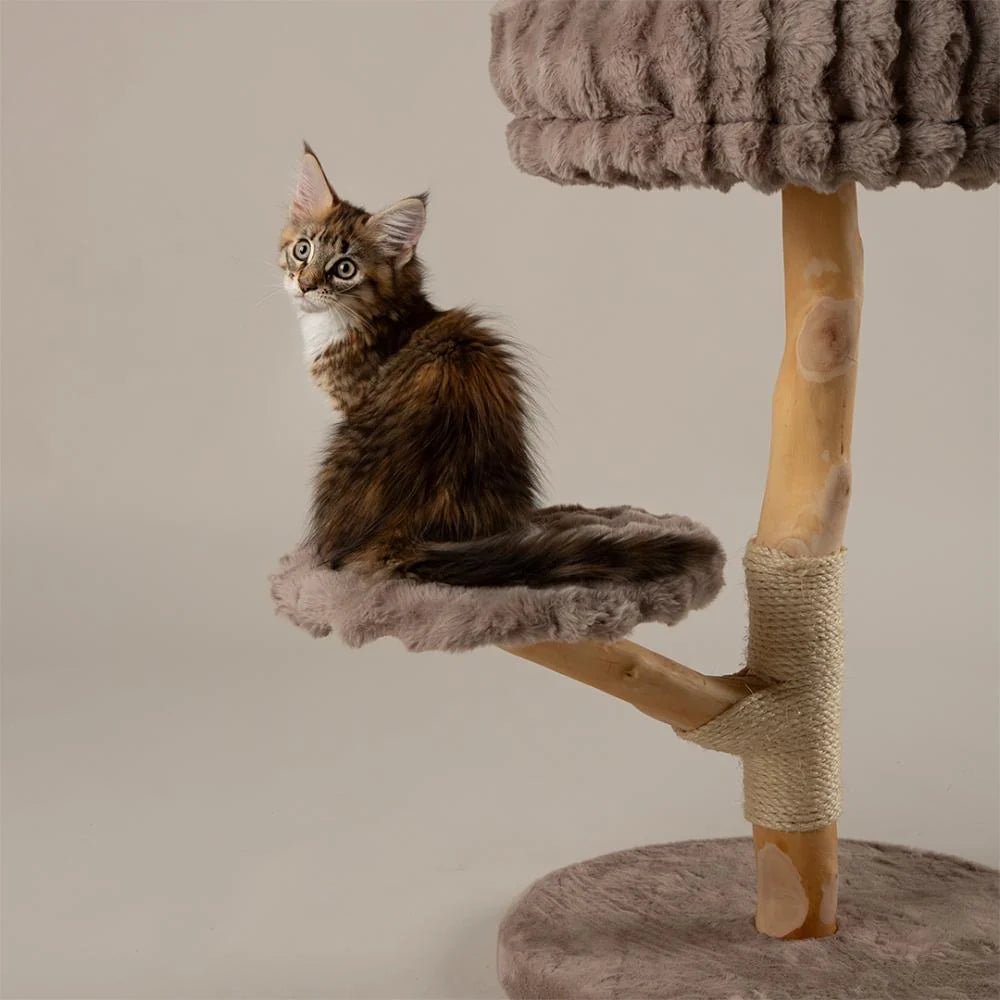 Scruffs Atlas Kratzbaum
