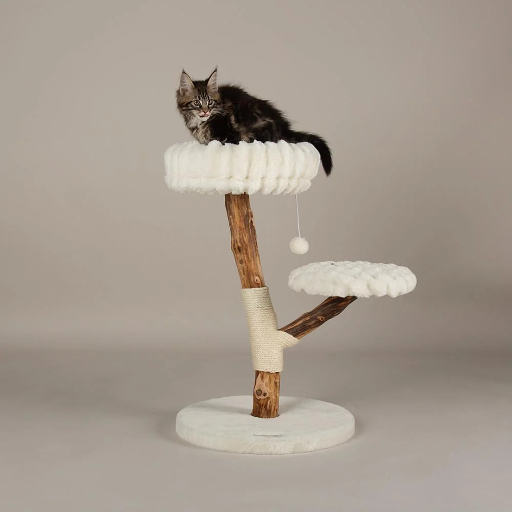 Scruffs Atlas Kratzbaum