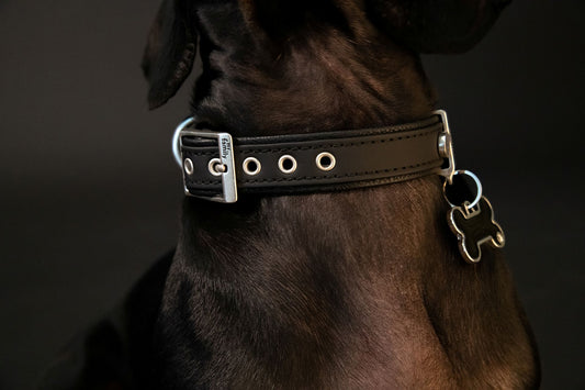 MyFamily Bilbao Hundehalsband aus Kunstleder