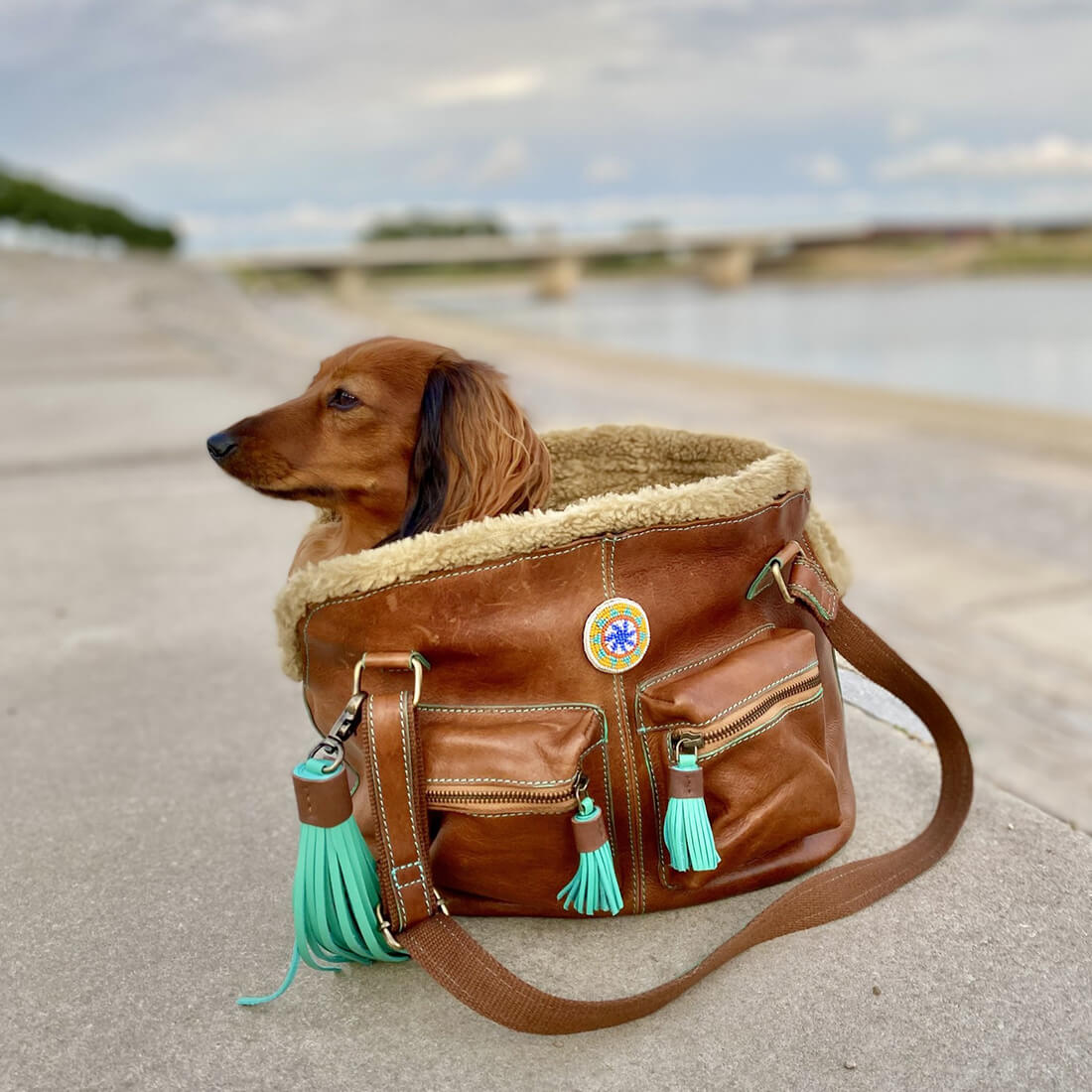 Hipster Bag Blondie Hundetasche