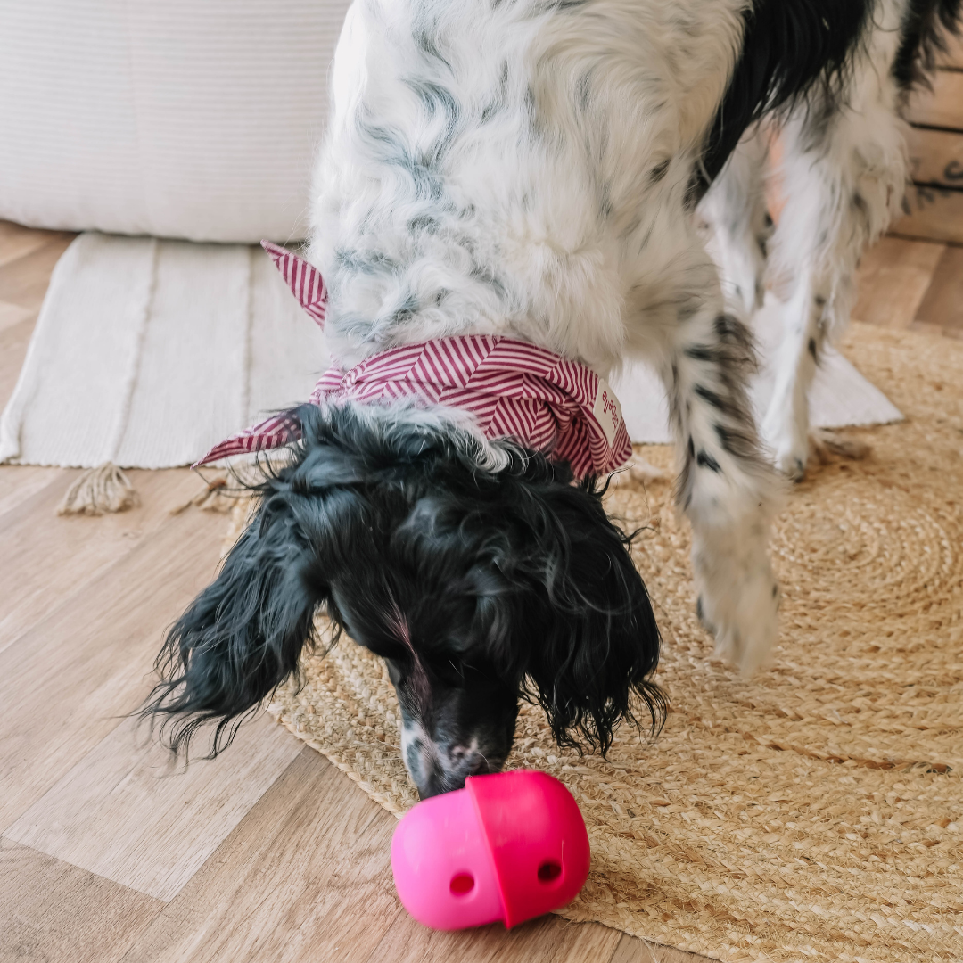 Babelle_Der Spaß-Futterautomat - Leckerli-Spender - Schleckspielzeug in pink