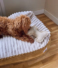 Bild in Galerie-Betrachter laden, CAFIDE Hundebett „Maso“ mit Kapuze – Chenille & Cord, waschbar, nachhaltig
