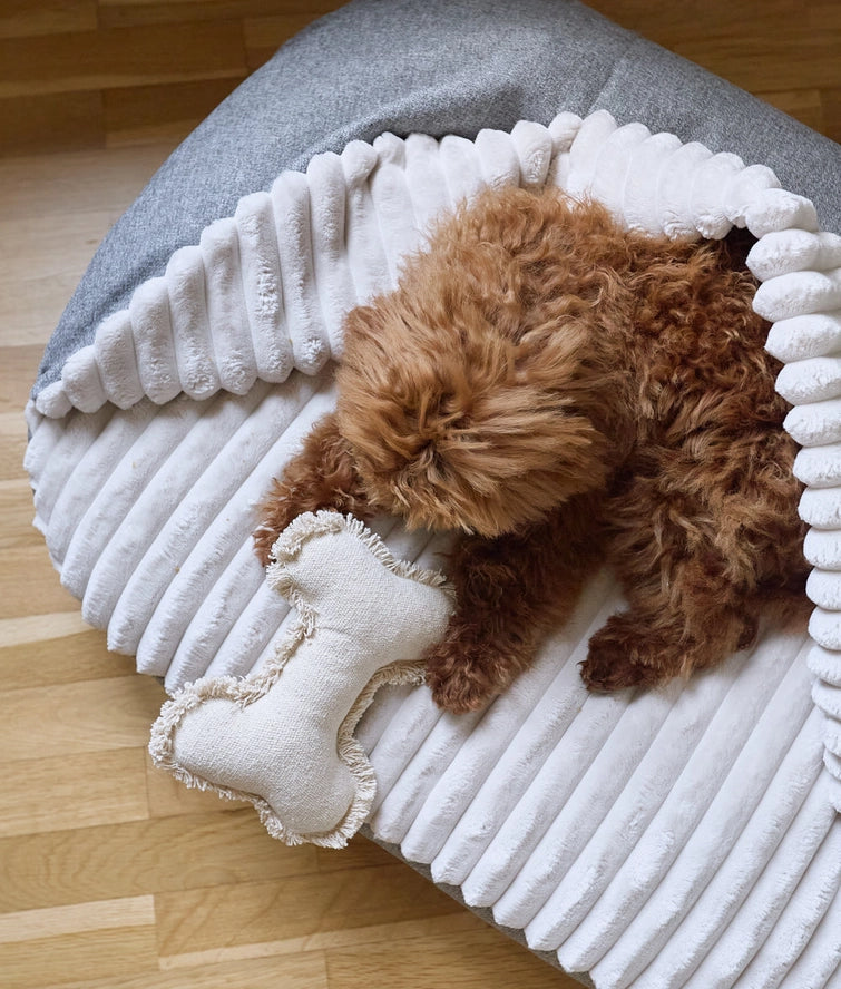 CAFIDE Hundebett „Maso“ mit Kapuze – Chenille & Cord, waschbar, nachhaltig