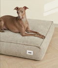 Bild in Galerie-Betrachter laden, CAFIDE Hundebett „Cuadra“ – Cord Beige, waschbar & komfortabel
