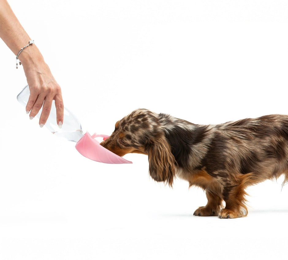 Universeller Wasserspender mit Tropfschutzventil