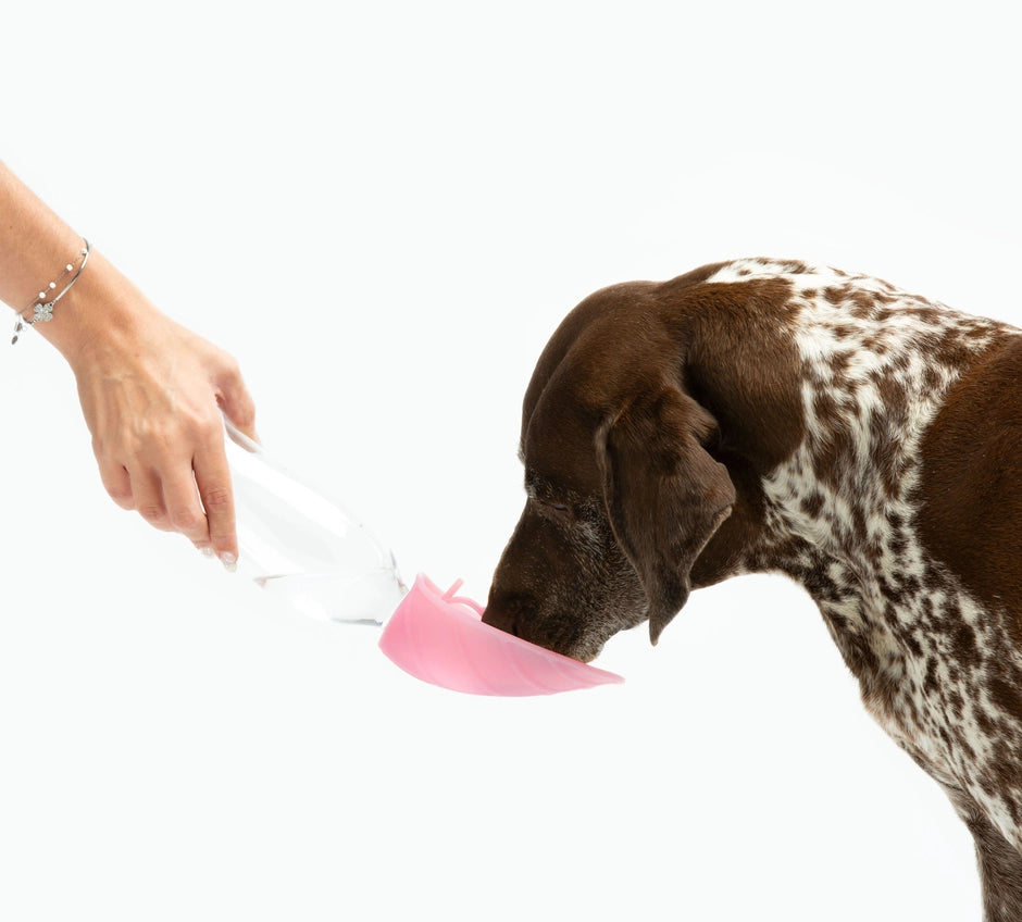 Universeller Wasserspender mit Tropfschutzventil