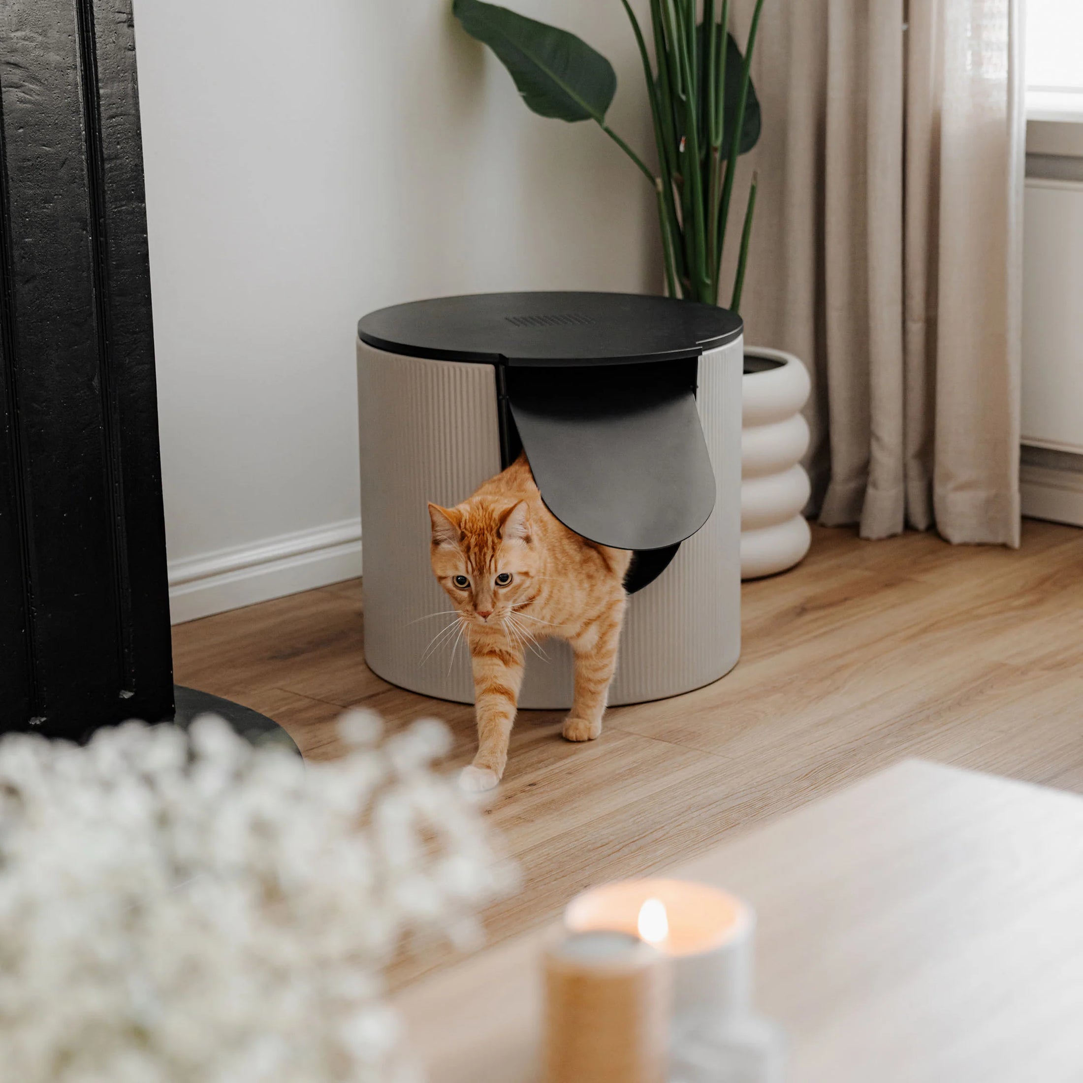 FUSE Design Katzentoilette