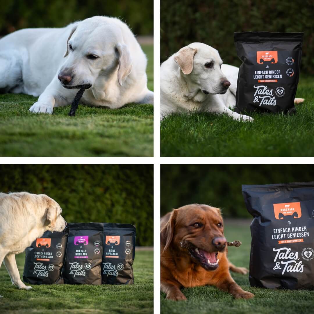 Einfach RinderLeicht genießen