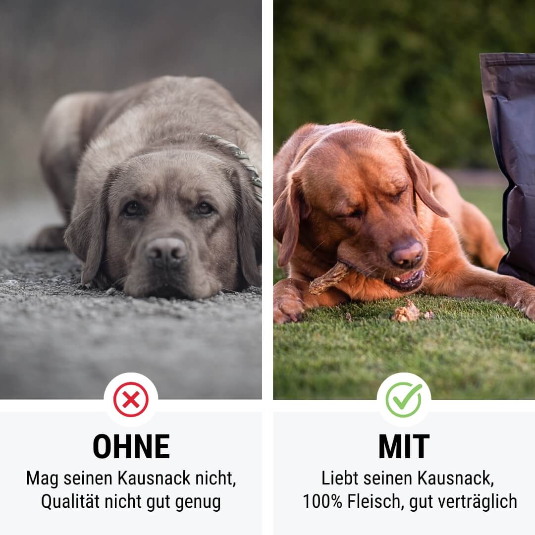 Ich Hals nicht aus - 100% Entenhälse XXL