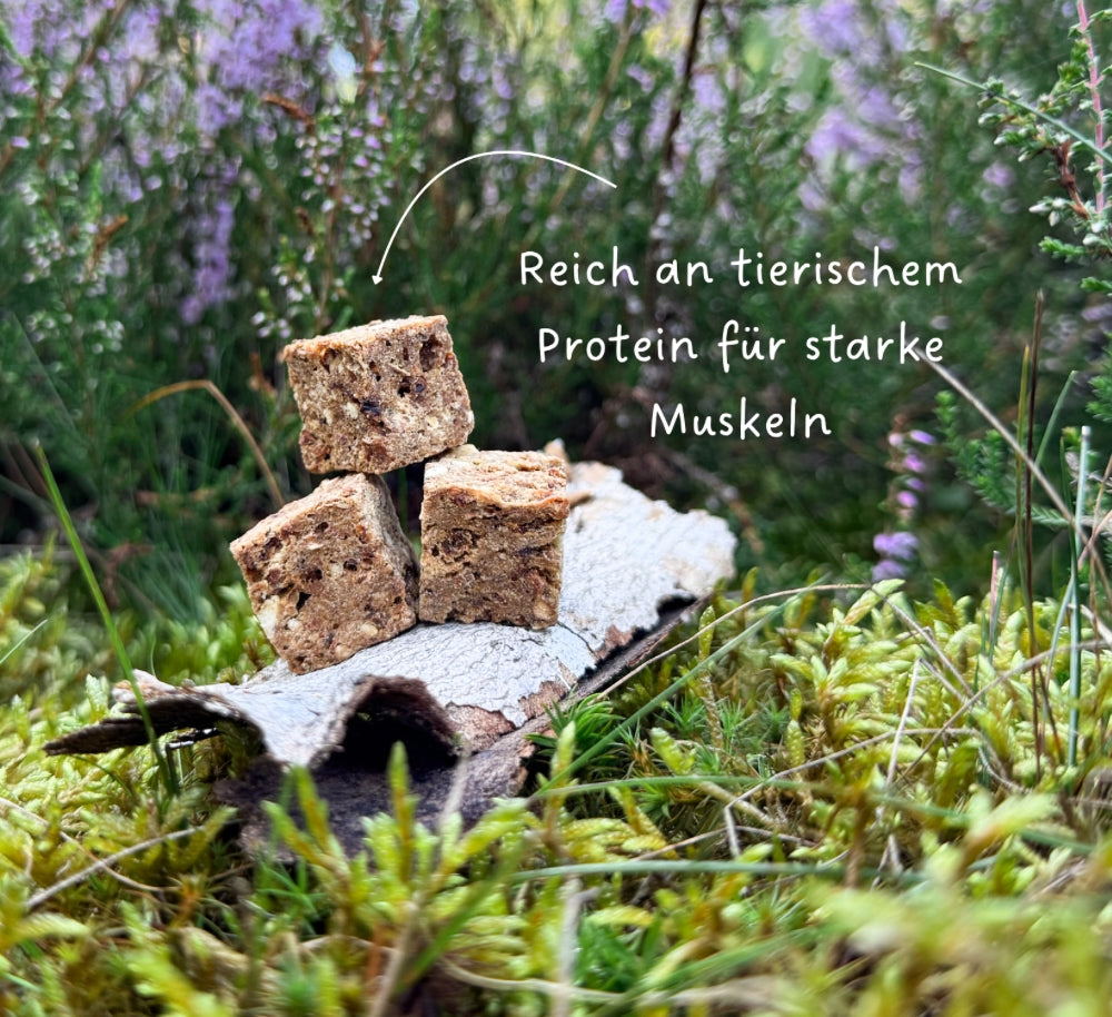 Snacks Huhn & Frucht Würfel (getreidefrei)