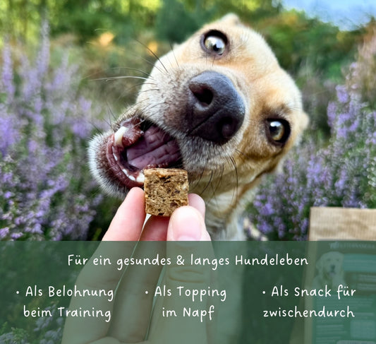 Snacks Huhn & Frucht Würfel (getreidefrei)