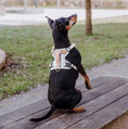Bild in Galerie-Betrachter laden, Hey Lana Premium Hundegeschirr - gepolstert, Pink/Beige
