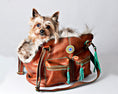Bild in Galerie-Betrachter laden, Hipster Bag Blondie Hundetasche
