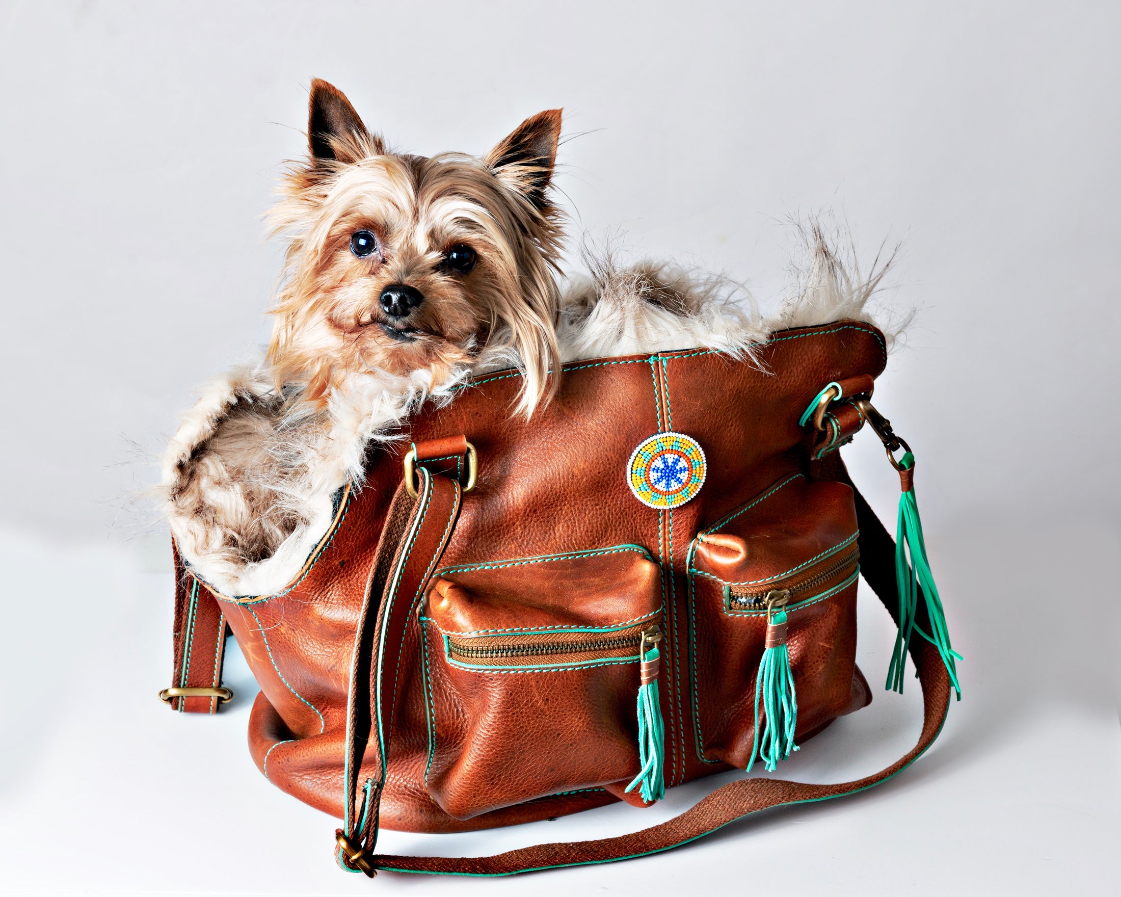 Hipster Bag Blondie Hundetasche