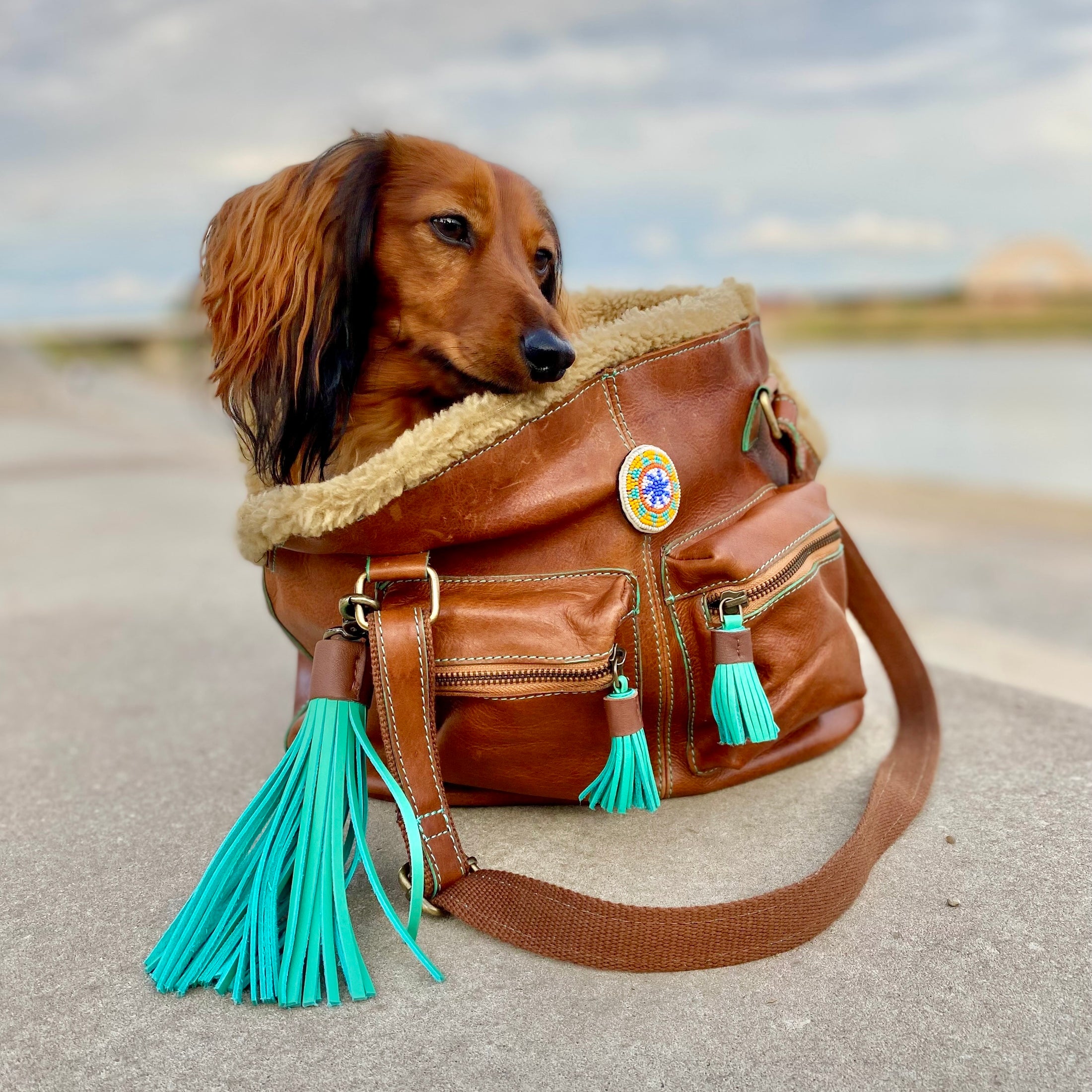 Hipster Bag Blondie Hundetasche