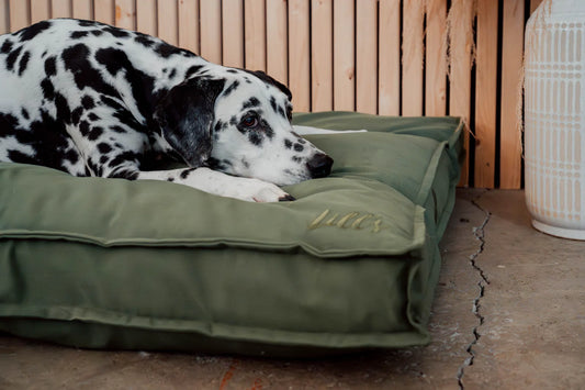 Wechselbezug "Wilma"