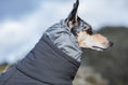Bild in Galerie-Betrachter laden, Hurtta Extreme Overall – warmer Hundeoverall für Winter & Kälte

