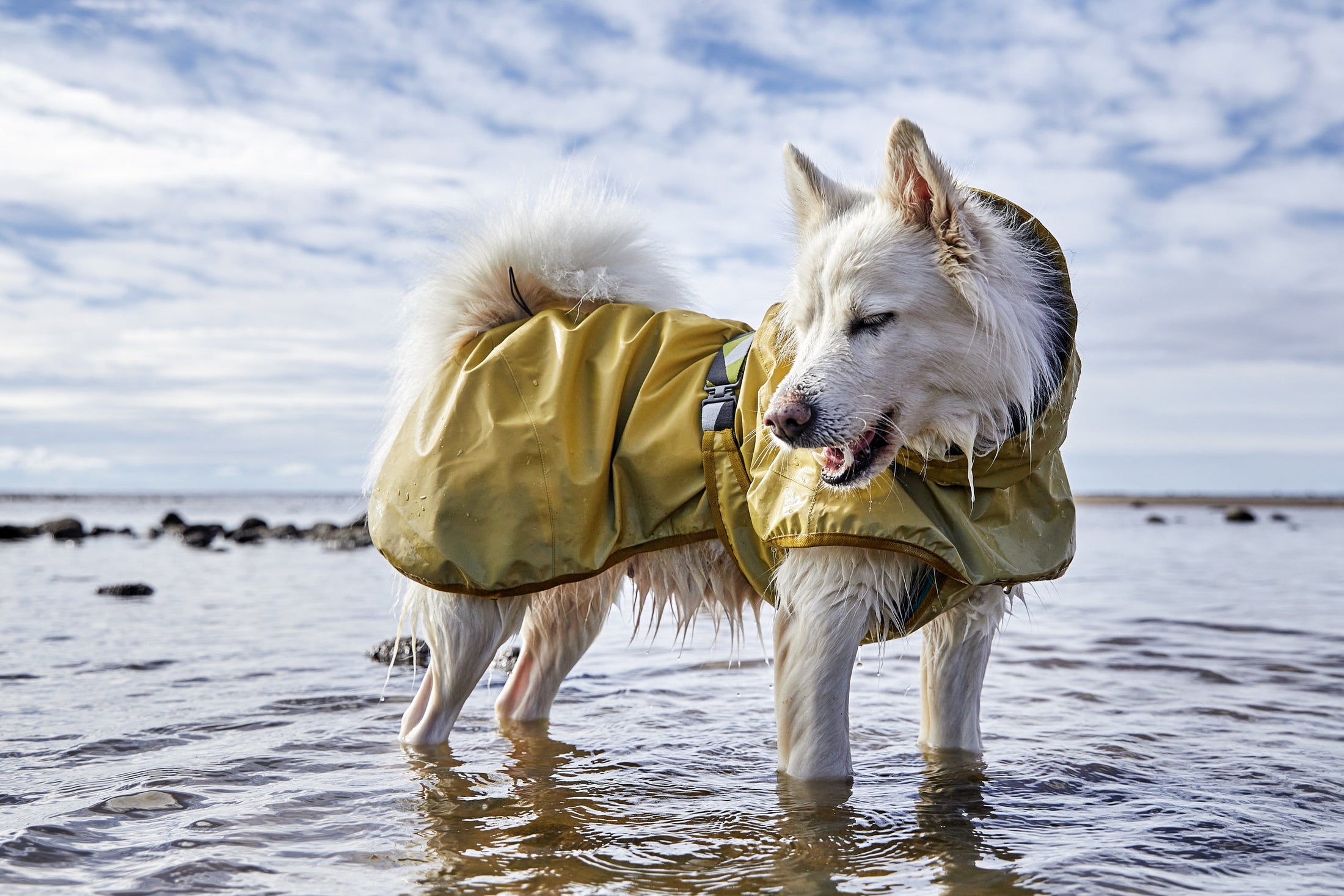 Hurtta Regenmantel Mudventure Coat ECO