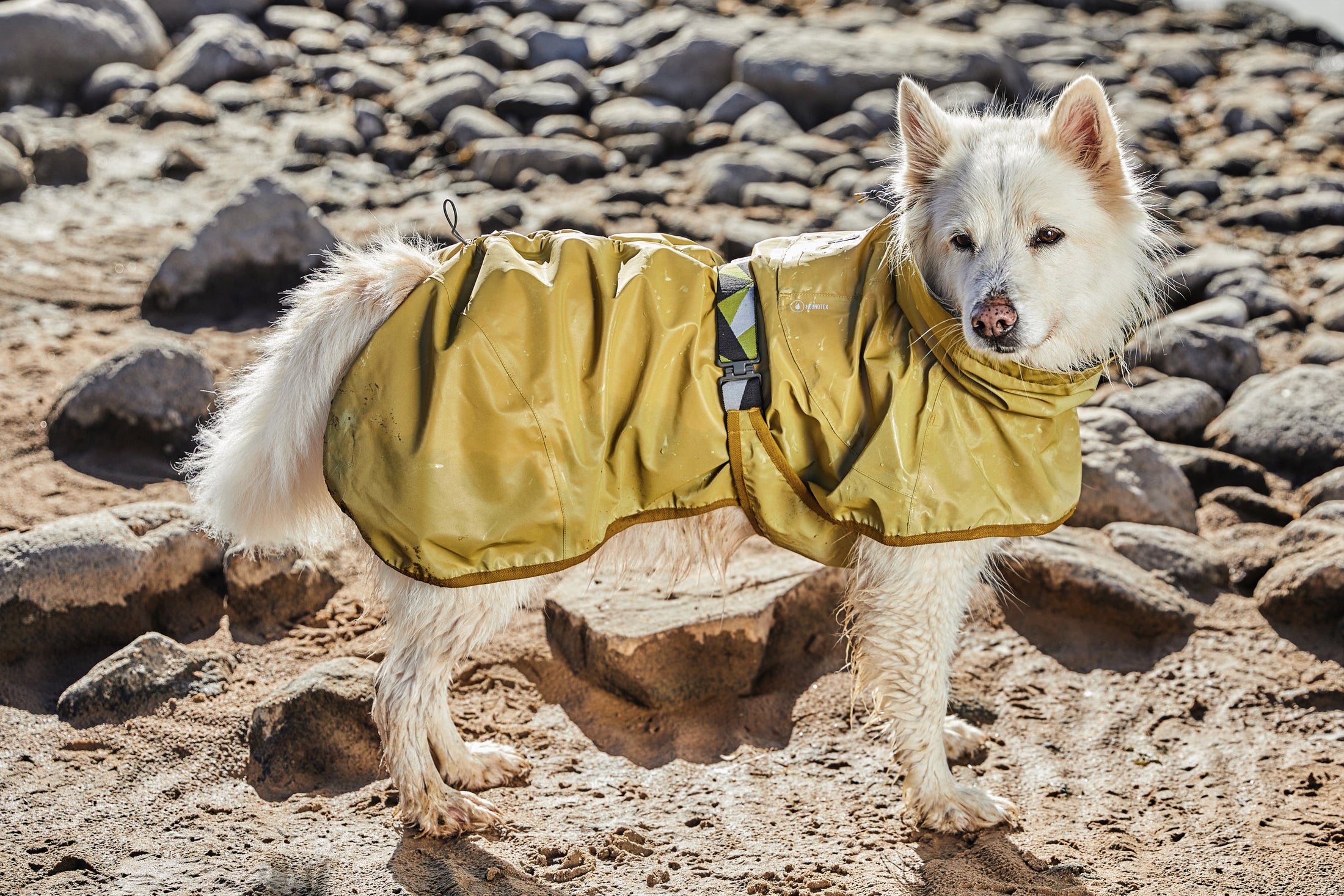 Hurtta Regenmantel Mudventure Coat ECO