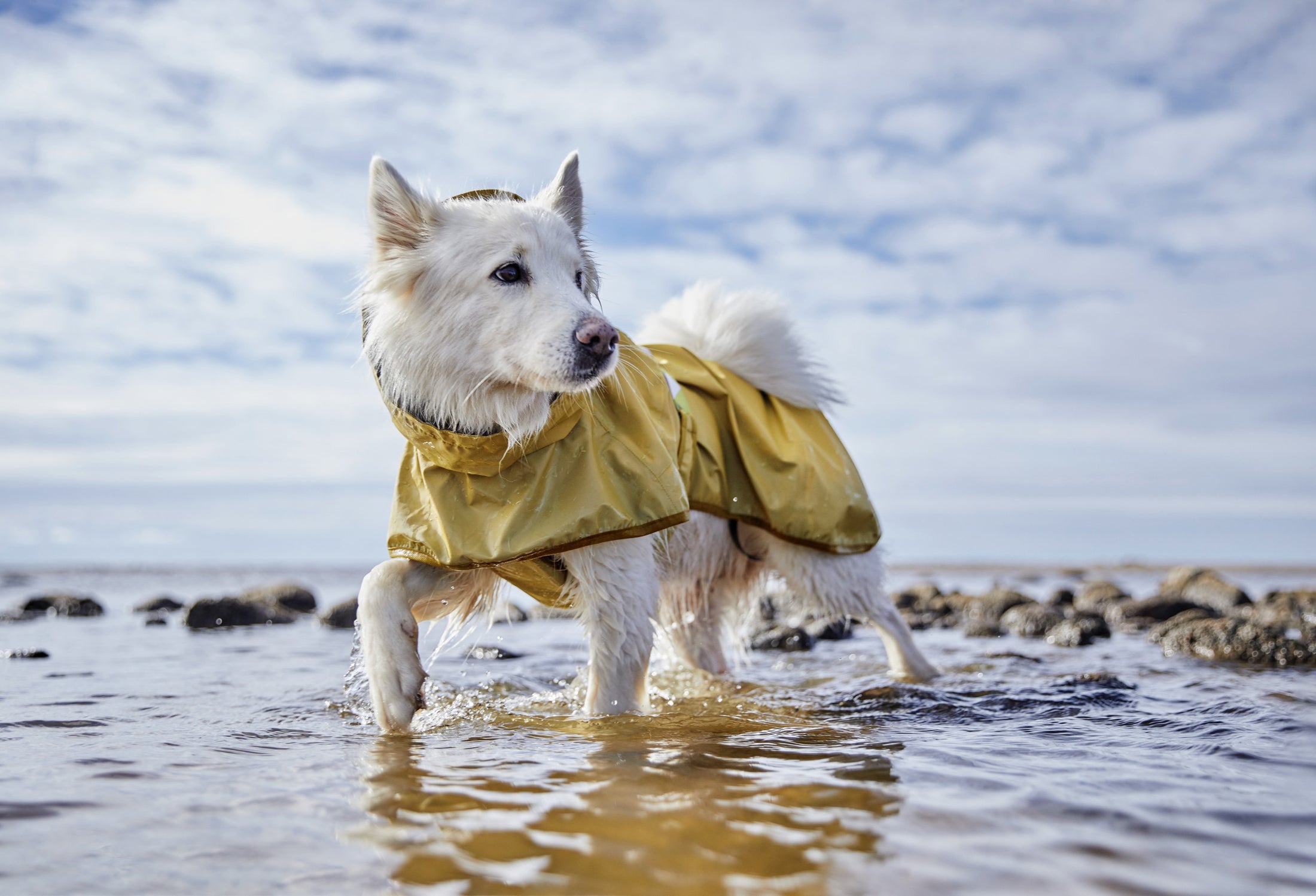 Hurtta Regenmantel Mudventure Coat ECO