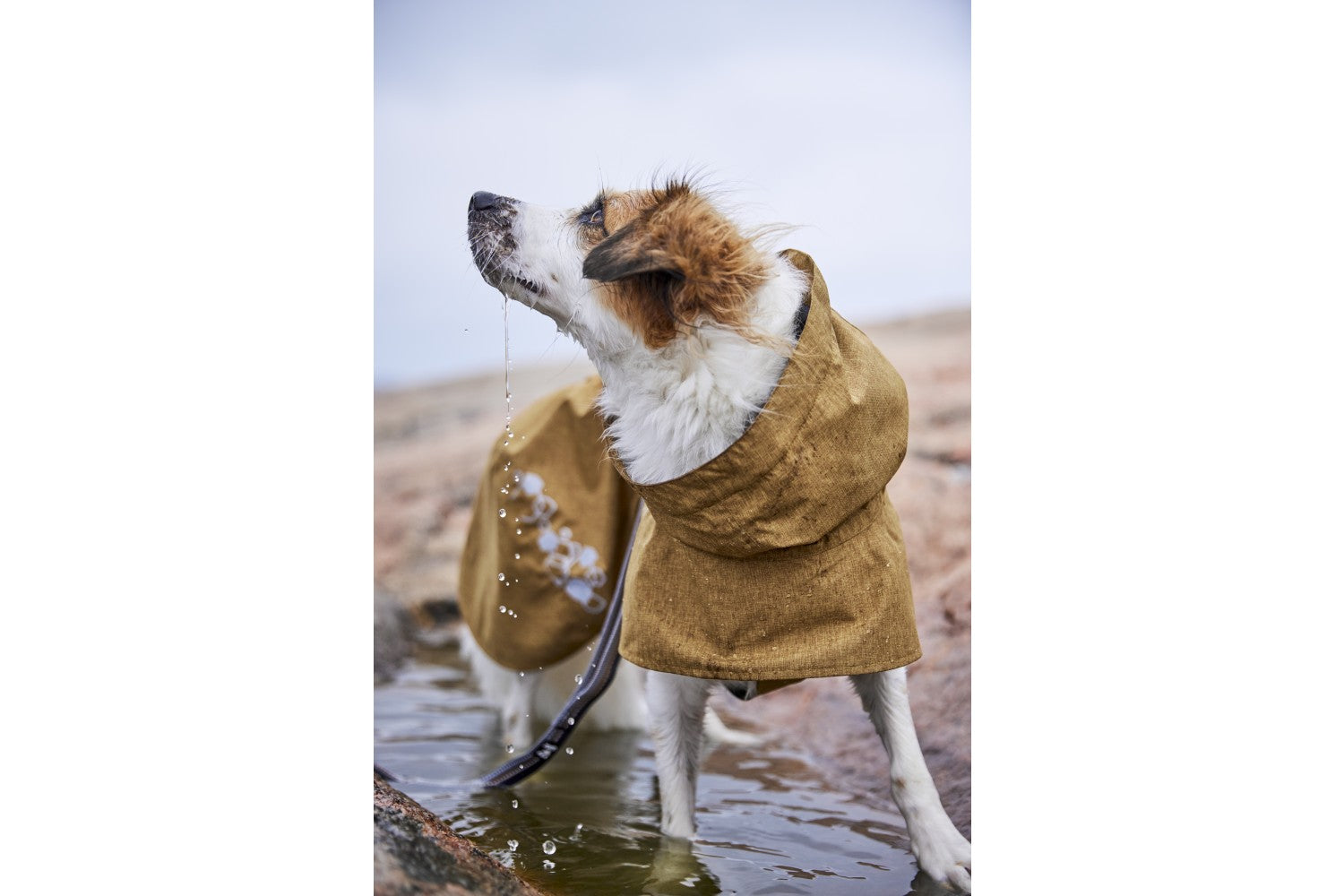 Hurtta Regenmantel Monsoon Coat II ECO