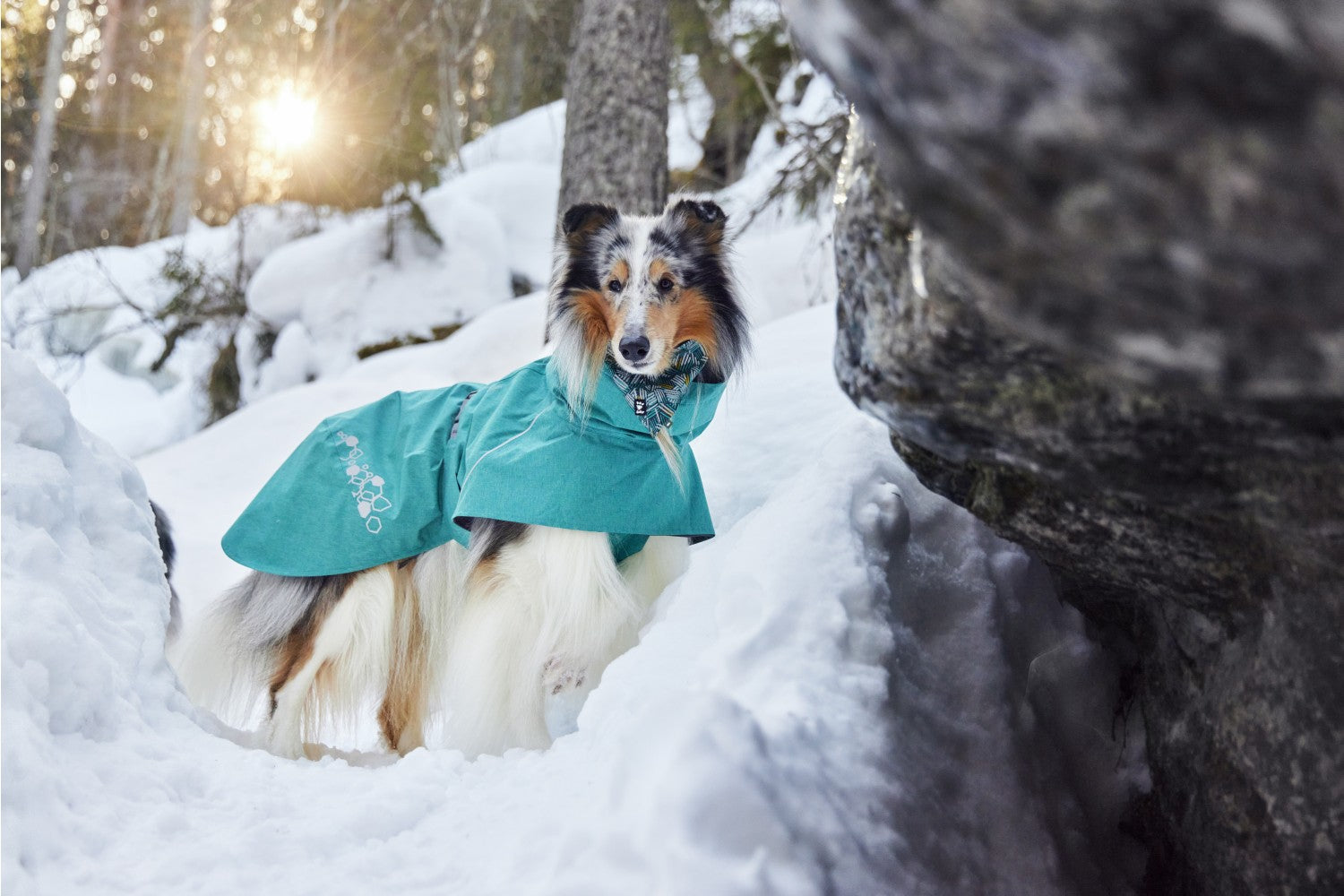 Hurtta Regenmantel Monsoon Coat II ECO